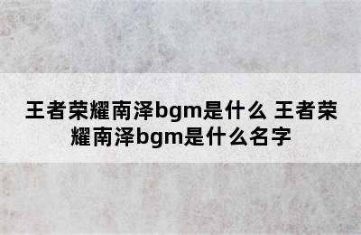 王者荣耀南泽bgm是什么 王者荣耀南泽bgm是什么名字